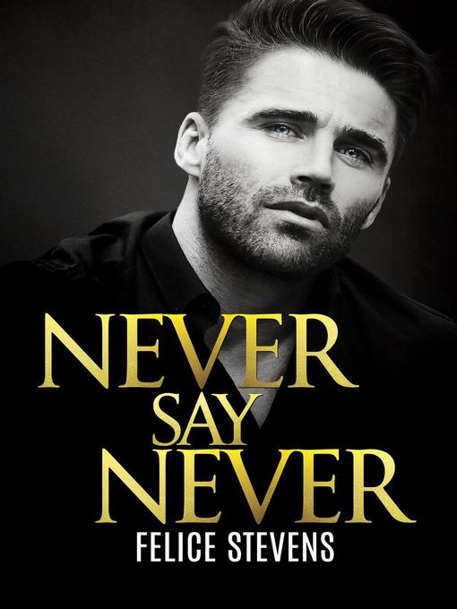 Title details for Never Say Never by Felice Stevens - Wait list